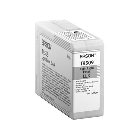 Image of Epson Singlepack Light Light Black T850900