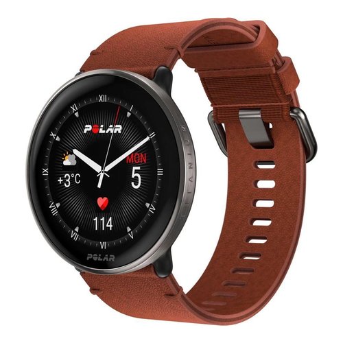 Smartwatch Polar 900110028 IGNITE 3 Titanium Silver e Brown