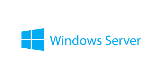 Image of Lenovo Windows Server 2019 Client Access License (CAL) 5 licenza/e