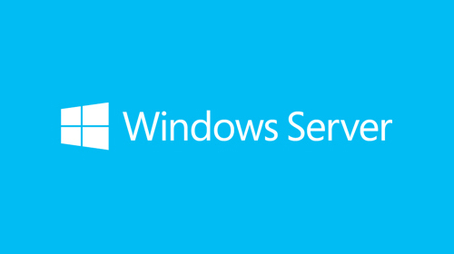 Image of Microsoft Windows Server 2019 Client Access License (CAL) 1 licenza/e