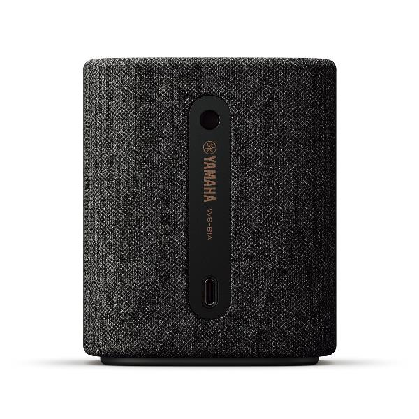 Image of SPEAKER BLUETOOTH WS-B1A CARBON GR