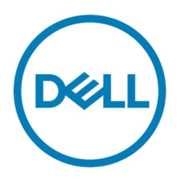 DELL 161-BCHF disco rigido interno 2,4 TB 10000 Giri/min 2.5" SAS