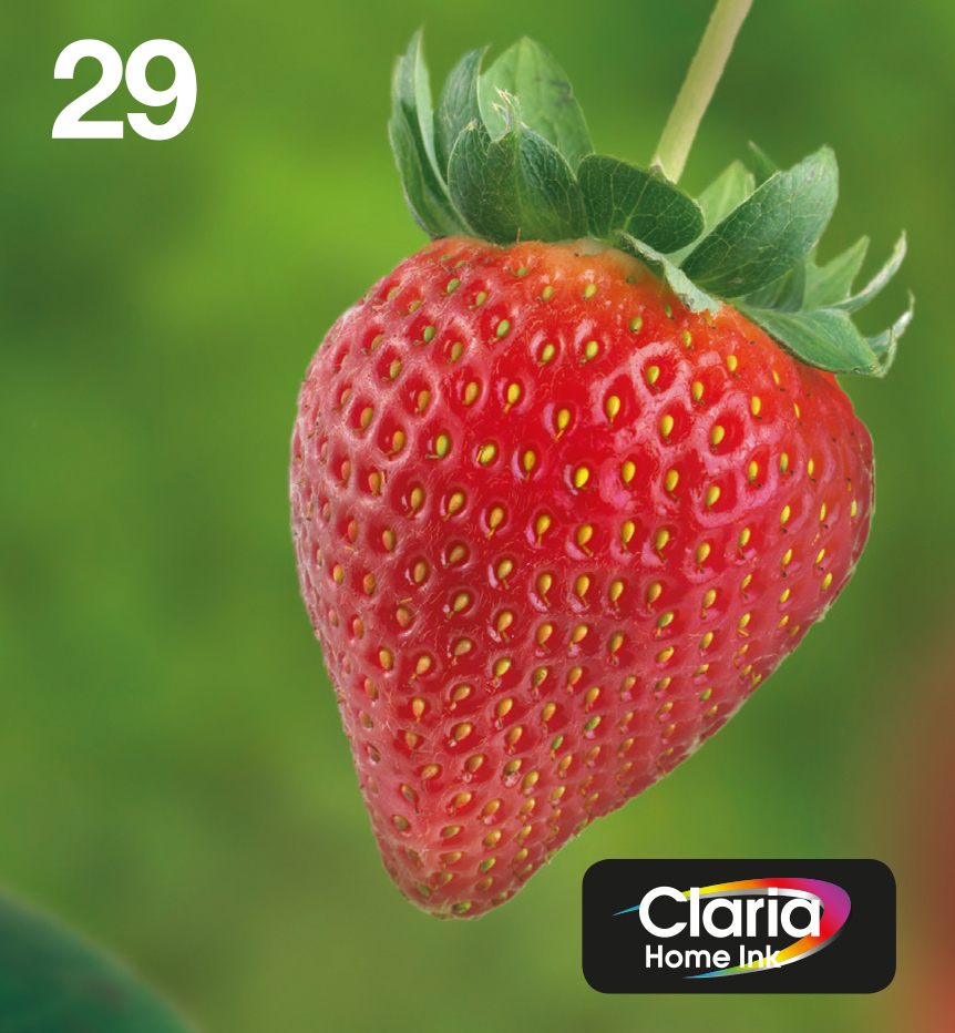Image of Epson Strawberry Multipack Fragole 4 colori Inchiostri Claria Home 29 in confezione EasyMail Packaging