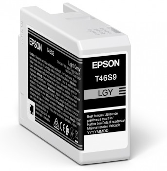 Image of Epson UltraChrome Pro cartuccia Inkjet 1 pz Originale Grigio chiaro