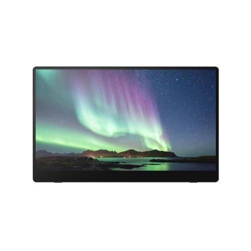 Ricoh Monitor portatile 150BW